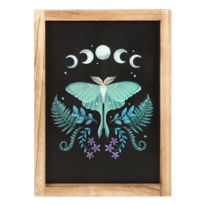 LUNA MOTH FRAMED WALL ART PRINT